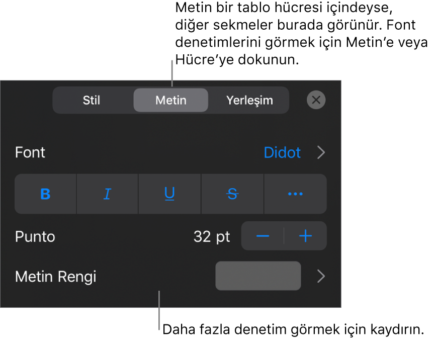 Paragraf ve karakter stillerini, fontunu, boyutunu ve rengini ayarlamak için Biçim menüsündeki metin kontrolleri.