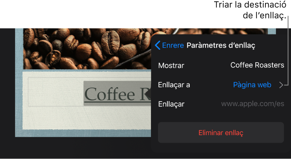 La finestra emergent “Paràmetres d’enllaç” amb els camps Mostrar, “Enllaçar a” (amb l’opció “Pàgina web” seleccionada) i Enllaç. El botó “Eliminar enllaç” a la part inferior.