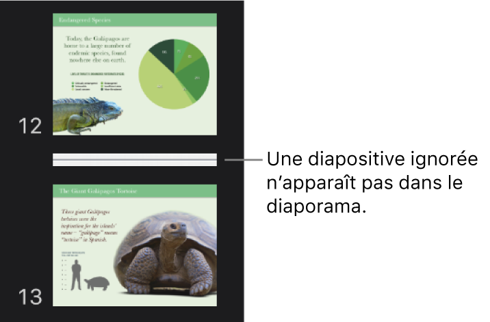 Navigateur de diapositives avec une diapositive ignorée s’affichant sous forme de ligne horizontale.