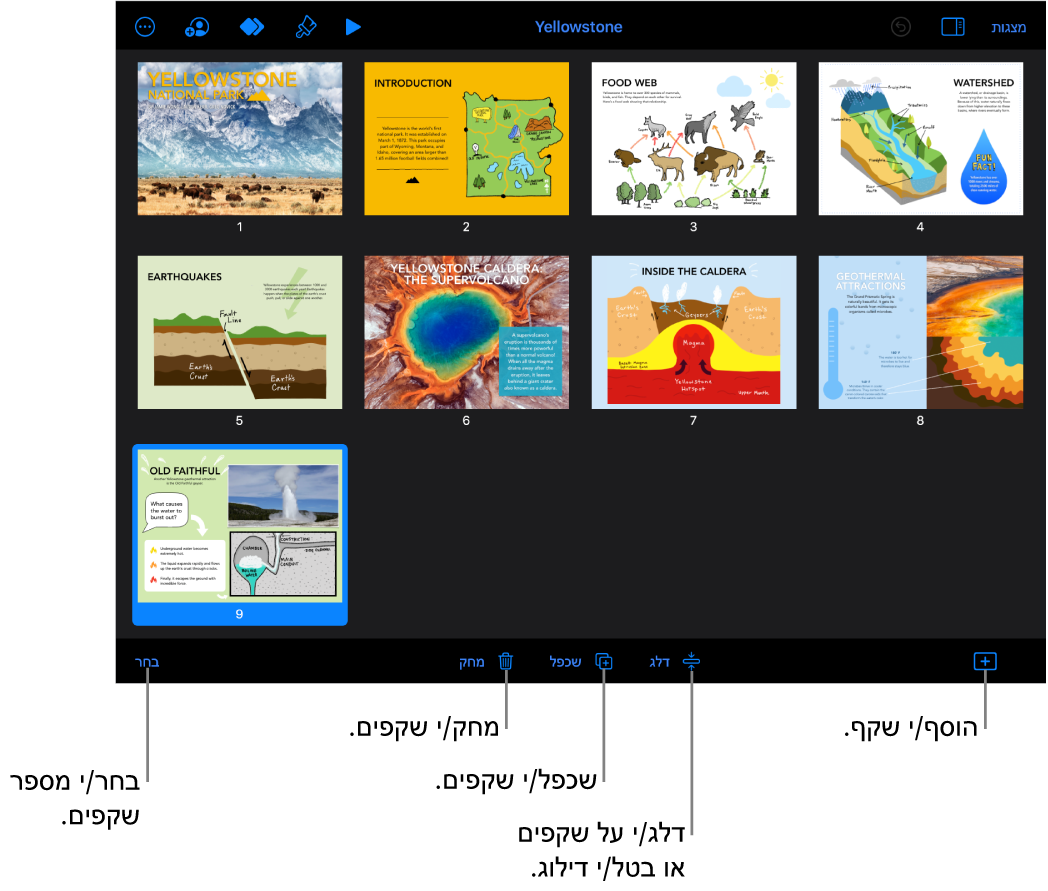 תצוגת שולחן אור עם כפתורים בחלק התחתון של המסך להוספה, דילוג, שכפול ומחיקה של שקפים ולבחירת שקפים מרובים.