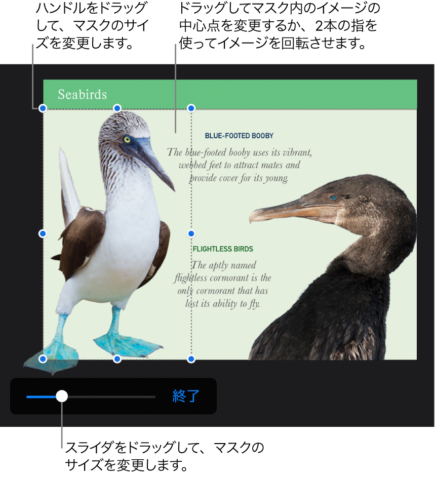 写真下部にある「マスク」スライダ。