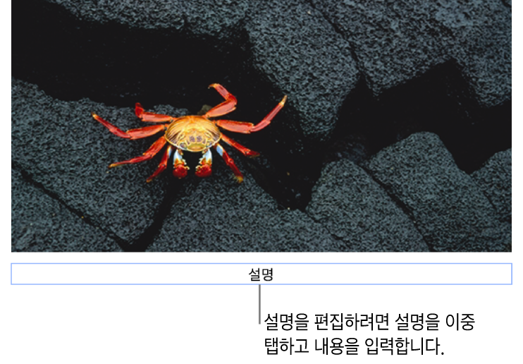 사진 아래에 ‘설명’이라고 나타나는 위치 지정자 설명. 설명 필드 주위의 파란색 윤곽선은 선택되었음을 나타냄.