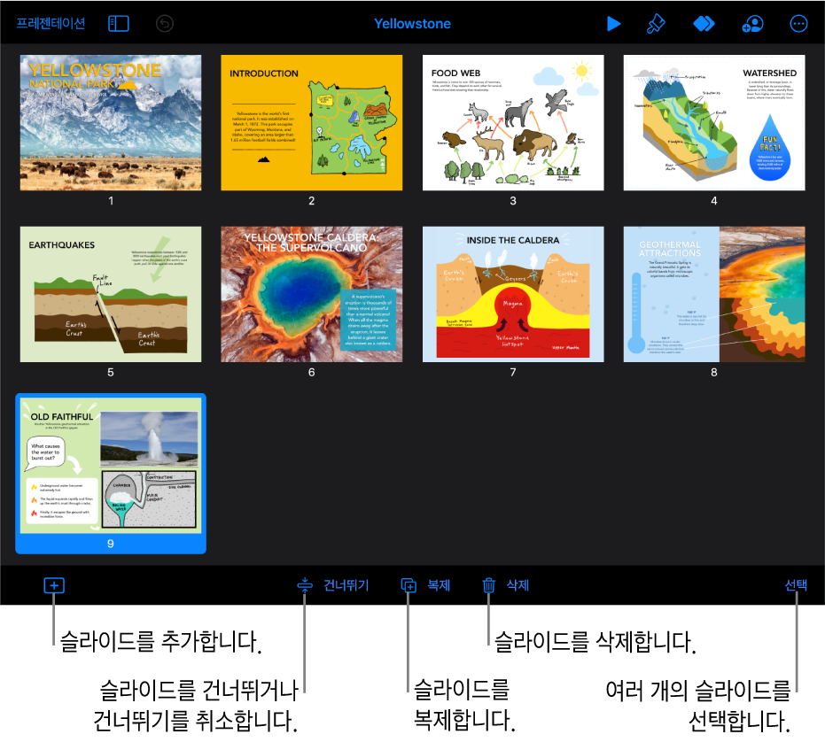 화면 하단에 슬라이드 추가, 건너뛰기, 복제, 삭제, 여러 슬라이드 선택 버튼이 있는 라이트 테이블 보기.