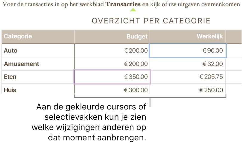 Gekleurde driehoekjes onder de tekst geven aan waar verschillende personen wijzigingen aanbrengen.