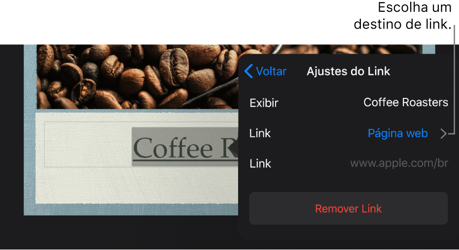 Popover “Ajustes do Link” com os campos Exibir, Link (definido como Página web) e Link. O botão Remover Link está na parte inferior.