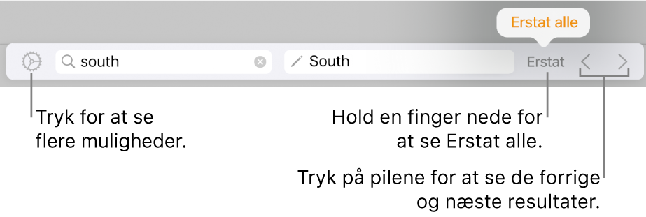 Betjeningsmuligheder til søgning efter og erstatning af tekst.