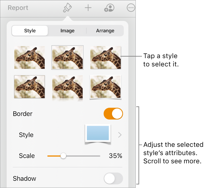 The Style tab of the Format menu with object styles at the top and controls below them to change the border, shadow, reflection and opacity.