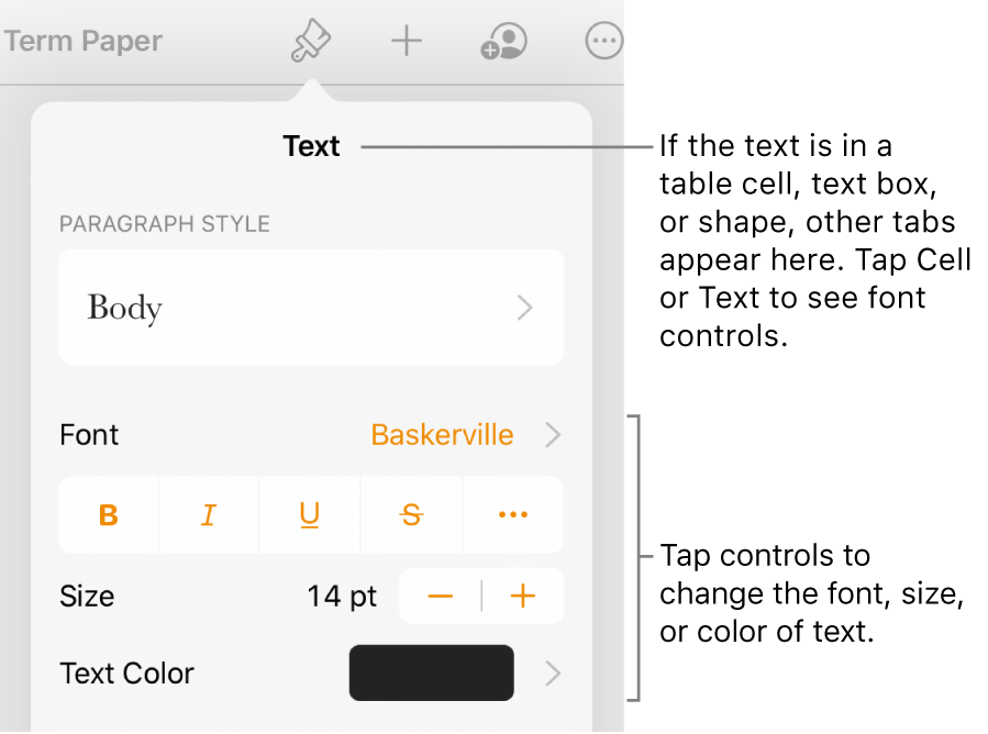 Text controls in the Format menu for setting paragraph and character styles, font, size, and color.
