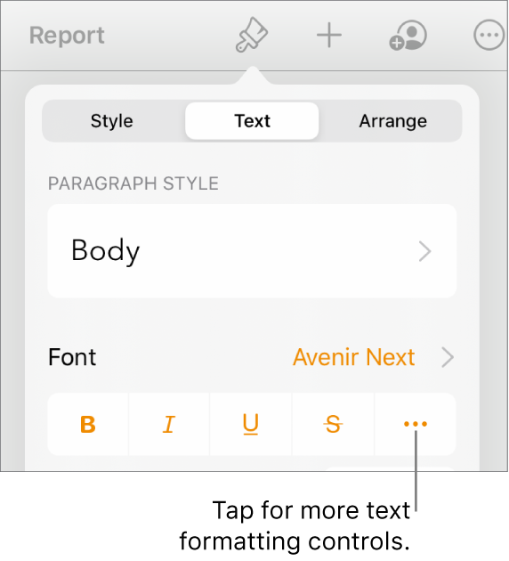 The Text tab of the Format controls, with a callout to the More Text Options button.