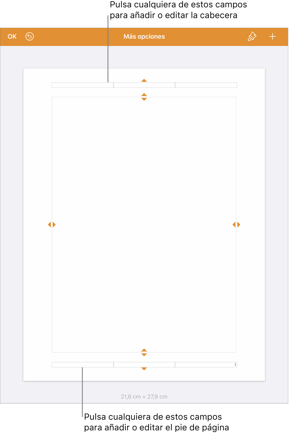 La visualización “Más opciones” con tres campos en la parte superior del documento para las cabeceras y tres campos en la parte inferior para los pies de página.