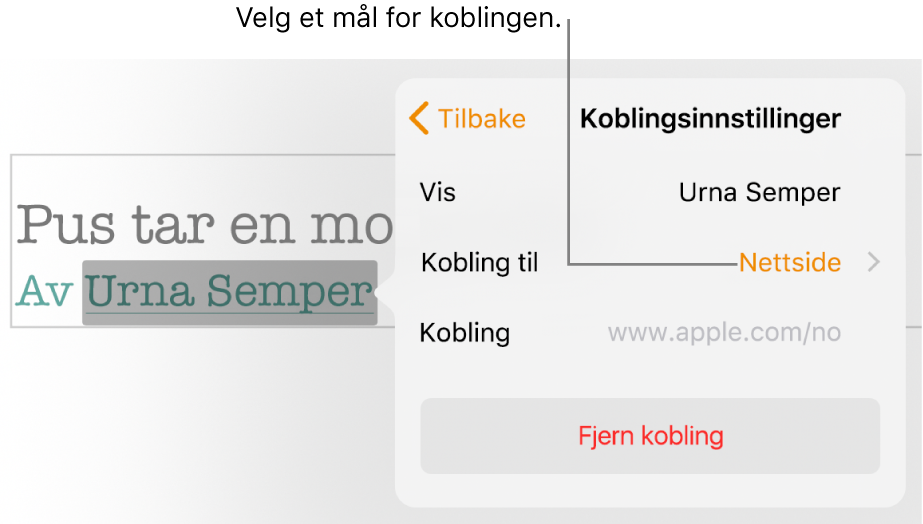 Koblingsinnstillinger-vinduspanelet med et Visning-felt, Kobling til-felt (stilt til Nettside), og Kobling-felt. Fjern kobling-knappen er nederst i vinduspanelet.