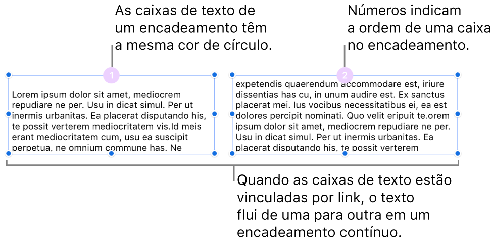 Duas caixas de texto com círculos roxos no topo e os números 1 e 2 nos círculos.