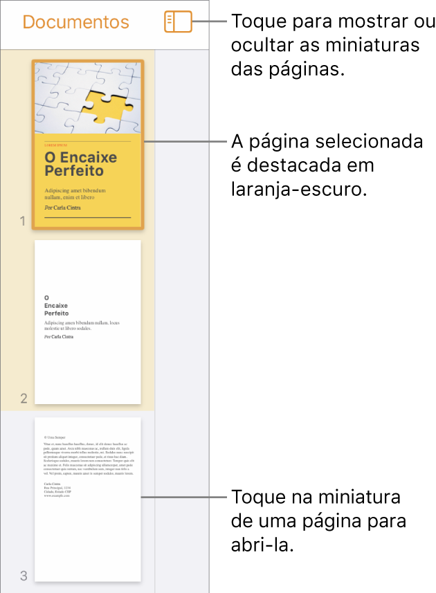 Visualização de Miniaturas de Página na parte esquerda da tela com uma página selecionada. O botão Opções de Visualização aparece acima das miniaturas.