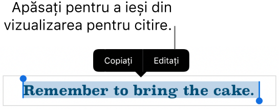 O propoziție este selectată și deasupra acesteia se află un meniu contextual cu butoanele Copiați și Editați.