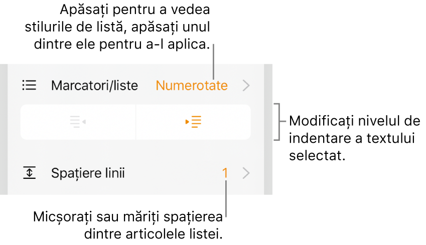 Secțiunea Marcatori/liste din comenzile Format cu explicații pentru Marcatori/liste, butoanele de indentare și indentare exterioară, precum și comenzile pentru spațierea liniilor.