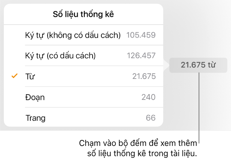 Bộ đếm từ với cửa sổ bật lên đang hiển thị các tùy chọn để hiển thị số lượng ký tự có và không có dấu cách, số từ, số đoạn và số trang.