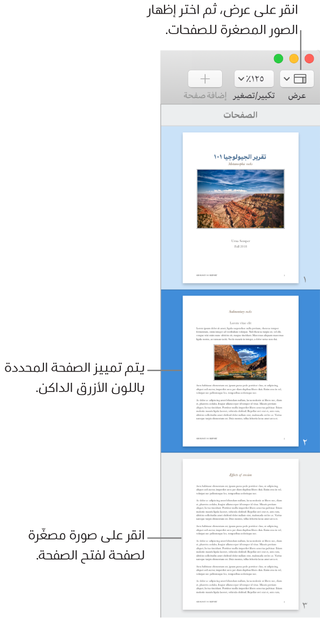 الشريط الجانبي على الجانب الأيمن من نافذة Pages وبه عرض الصور المصغرة للصفحات مفتوح مع صفحة محددة مميزة باللون الأزرق الداكن.
