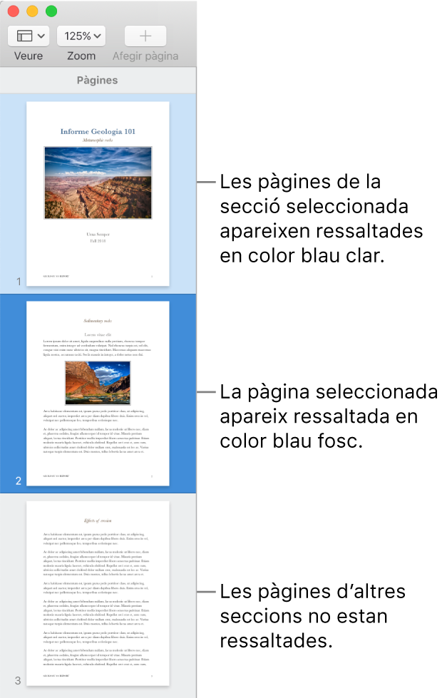 La barra lateral “Vista de miniatures” amb la pàgina seleccionada ressaltada en blau fosc i totes les pàgines de la secció seleccionada ressaltades en blau clar.