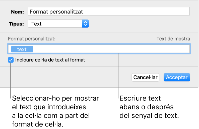 La finestra de format de cel·la personalitzat, amb controls per seleccionar el format de text personalitzat.