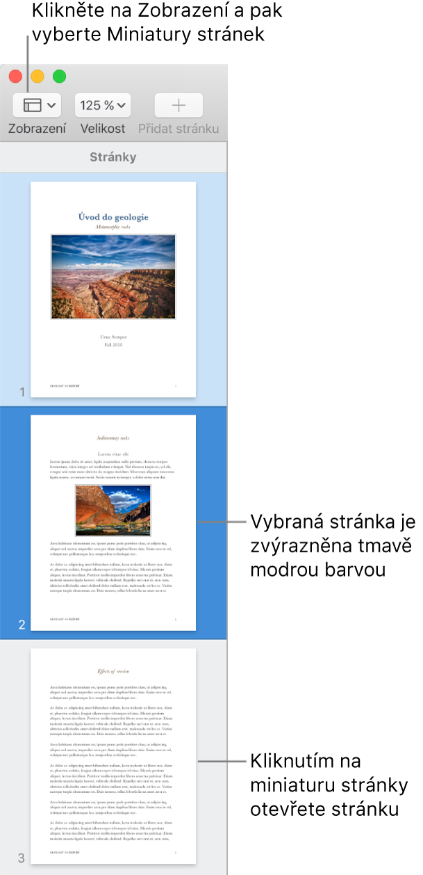 Boční panel na levé straně okna aplikace Pages s otevřeným zobrazením miniatur stránek a vybranou stránkou, která je zvýrazněna tmavomodře