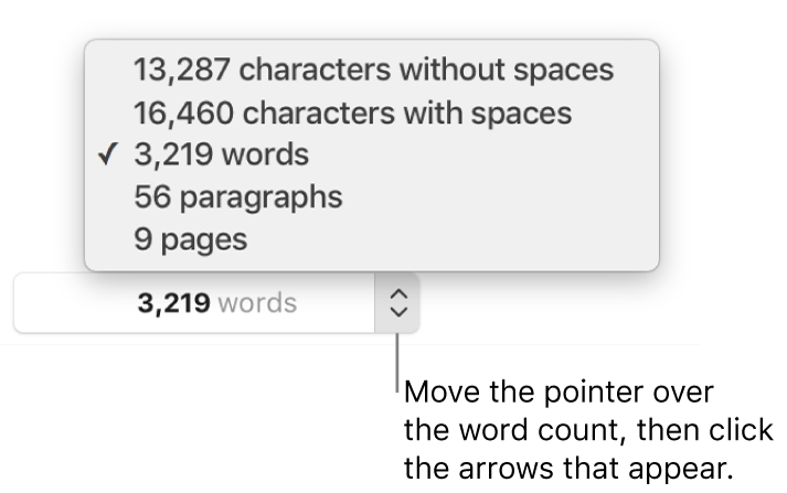 The word count pop over showing the number of words in the document.