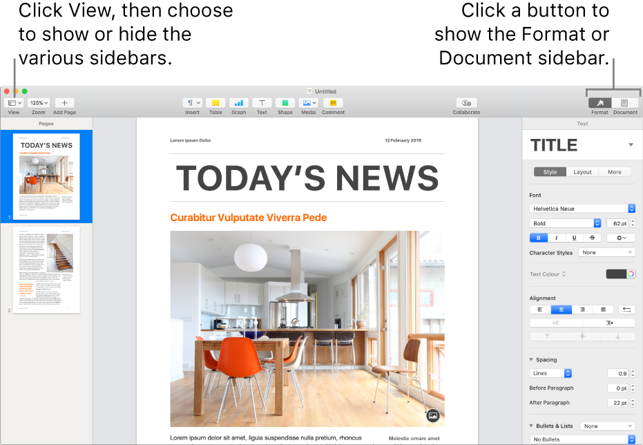 The Pages window with a call out to the View menu button and Format and Document buttons in the toolbar. Sidebars are open on the left and right.