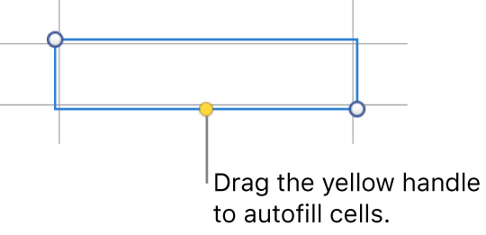 A selected cell with a yellow handle you can drag to auto fill cells.