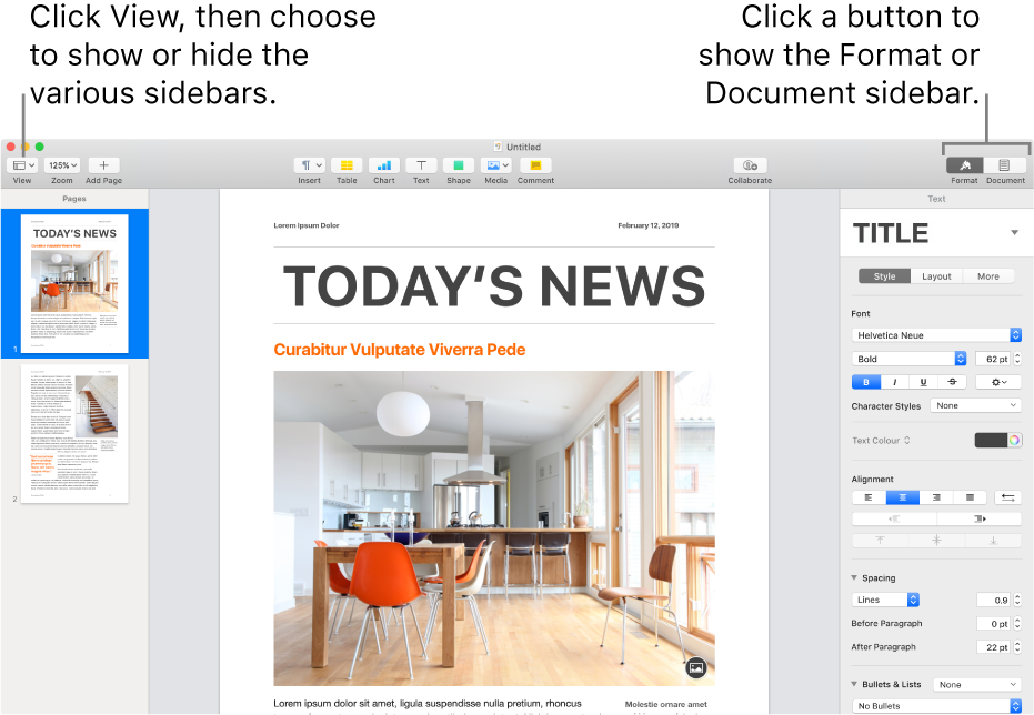 The Pages window with callouts to the View menu button and Format and Document buttons in the toolbar. Sidebars are open on the left and right.