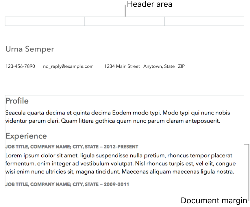 Layout view showing header area and document margins.