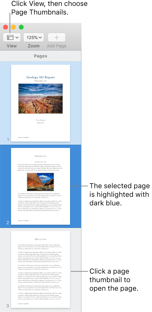 The sidebar on the left side of the Pages window with Page Thumbnails view open and a selected page highlighted in dark blue.