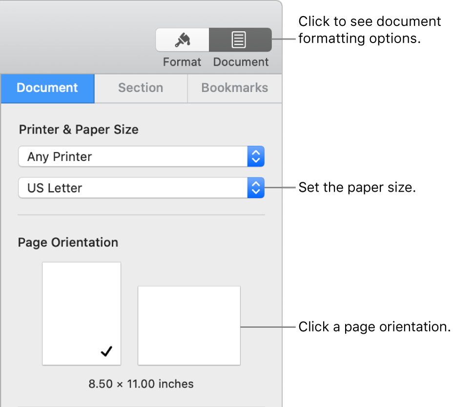 The Document sidebar with the Document tab at the top of the sidebar selected. In the sidebar are a pop-up menu to set paper size, and buttons for portrait and landscape page orientation.