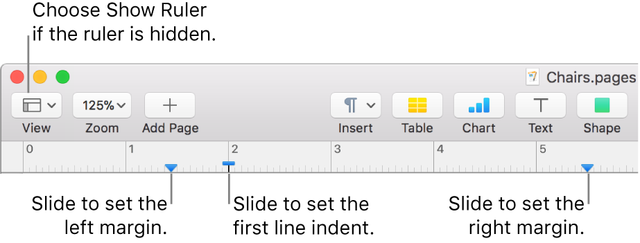 The ruler with the left margin control and first line indent control.
