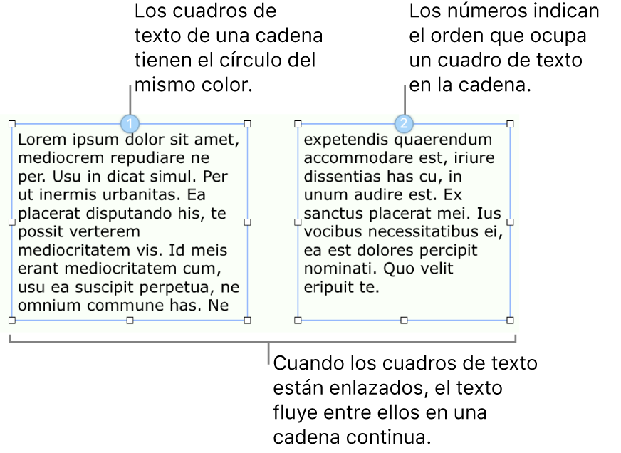 Dos cuadros de texto con círculos azules en la parte superior y los números 1 y 2 dentro de los círculos.