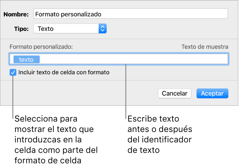 La ventana de formato de celda personalizado con controles para seleccionar formatos de texto personalizados.