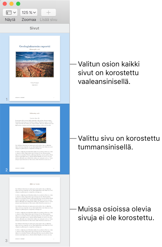 Miniatyyrisivupalkki, jossa valittu sivu on korostettu tummansinisellä ja kaikki valitun osion sivut on korostettu vaaleansinisellä.