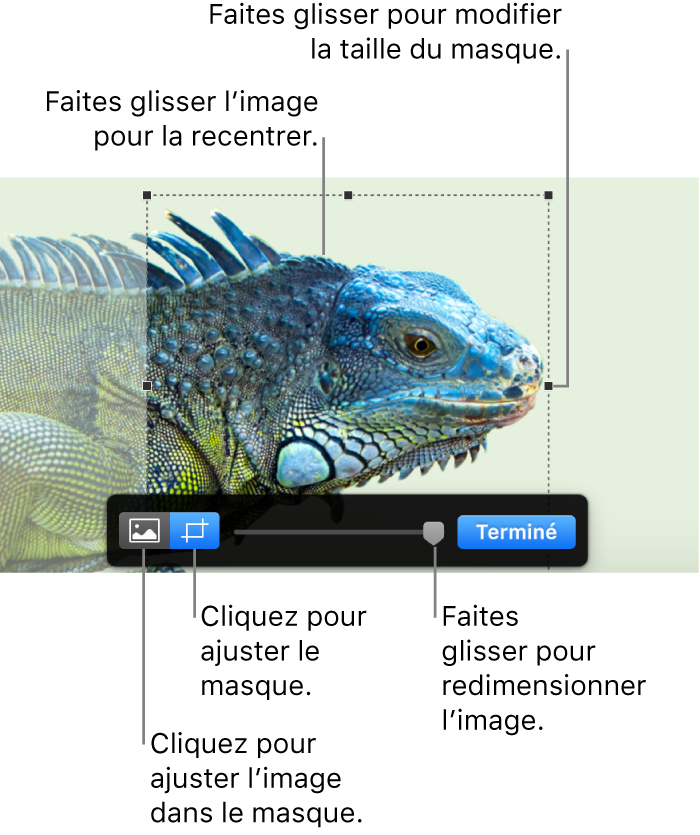 Commandes de masque sur une photo.