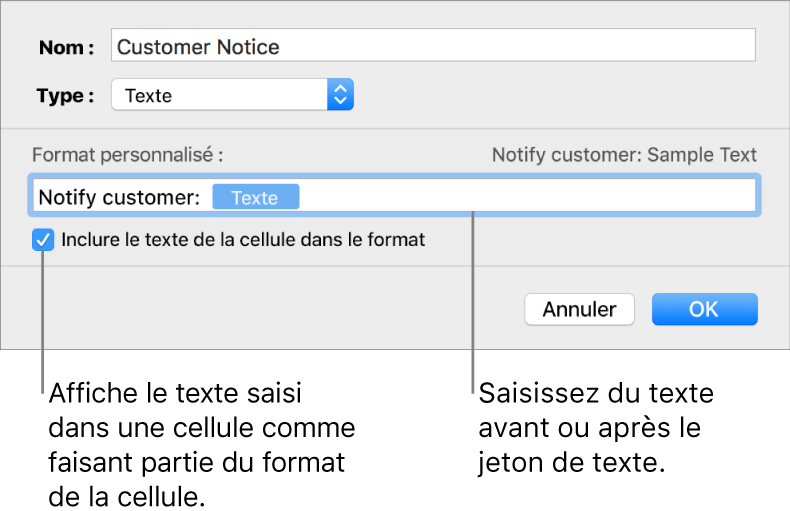 Fenêtre de format de cellule personnalisé présentant les commandes permettant de choisir un format de texte personnalisé.