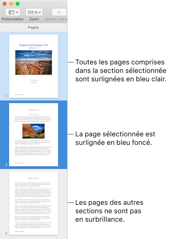 La Présentation des pages sous forme de vignettes dans la barre latérale avec la page sélectionnée surlignée en bleu foncé et l’ensemble des pages de la section sélectionnée surligné en bleu clair.