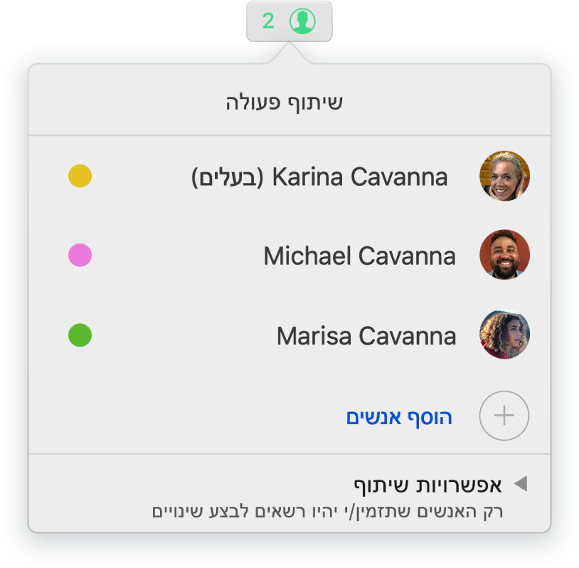 תפריט ״שיתוף פעולה״ מראה את שמות האנשים המשתפים פעולה בעבודה על המסמך. אפשרויות השיתוף מופיעות מתחת לשמות.