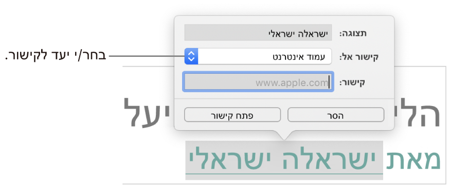 הפריט הקופצני ״הגדרות קישור״ עם שדה ״הצג״, ״קישור אל״ (מוגדר ל״עמוד אינטרנט״) ושדה ״קישור״. הכפתורים ״הסר״ ו״פתח קישור״ מופיעים בתחתית הפריט הקופצני.