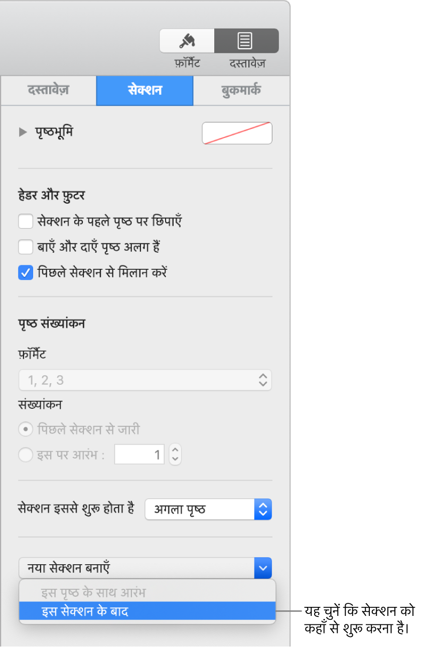 चयनित सेक्शन टैब वाला दस्तावेज़ साइडबार। साइडबार के निचले भाग के नज़दीक “सेक्शन शुरू होता है” पॉप-अप मेनू है और “नया सेक्शन बनाएँ” पॉप-अप मेनू भी है।
