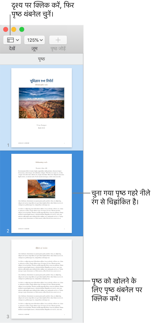 खुले हुए पृष्ठ थंबनेल दृश्य और गहरे नीले से चिह्नांकित चयनित पृष्ठ के साथ Pages विंडो के बाईं ओर साइडबार।