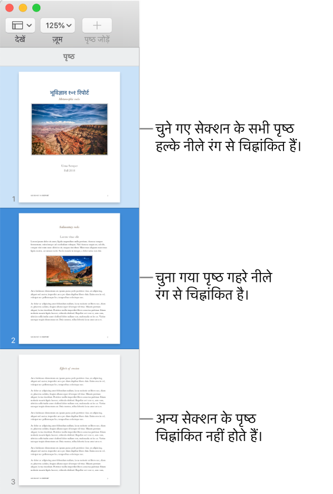चयनित पृष्ठ के साथ थंबनेल दृश्य साइडबार गहरे नीले रंग में चिह्नांकित होता है और चयनित सेक्शन में सभी पृष्ठ हल्के नीले रंग में चिह्नांकित होते हैं।