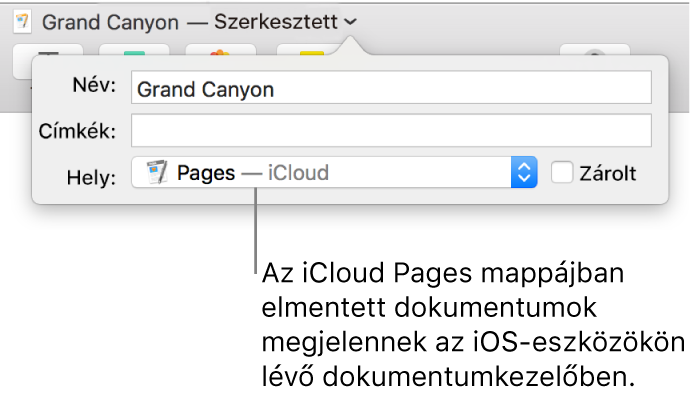A Mentés párbeszédpanel Pages – iCloud dokumentum esetében a Hely előugró menüben.