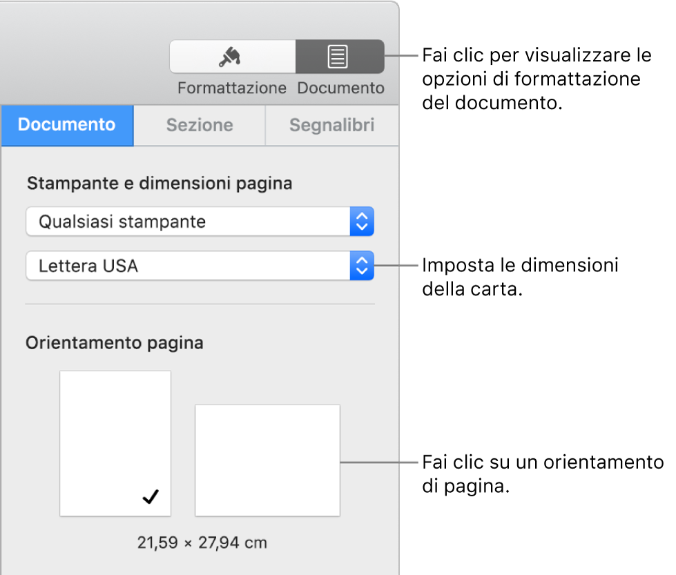 La barra laterale Documento con selezionato il pannello Documento nella parte superiore della barra laterale. Nella barra laterale si trovano un menu a comparsa per impostare le dimensioni di pagina e i pulsanti per l’orientamento della pagina orizzontale e verticale.