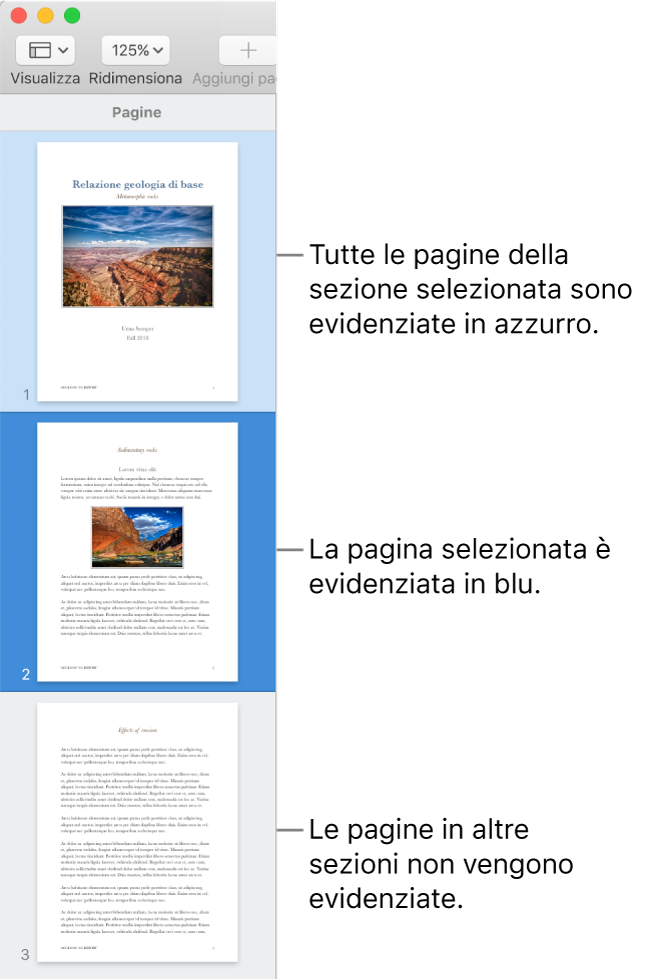 Barra laterale della vista miniature con la pagina selezionata evidenziata in blu scuro e tutte le pagine della sezione selezionata sottolineate in azzurro.