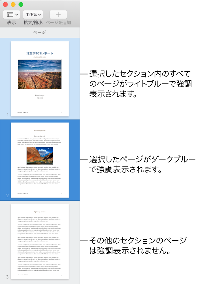 「サムネール表示」サイドバー。選択されたページがダークブルーでハイライトされ、選択されたセクションのすべてのページがライトブルーでハイライトされています。