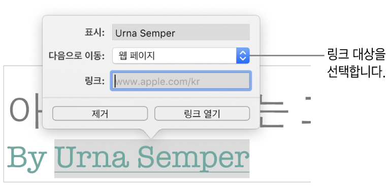 디스플레이 필드, 다음으로 연결(웹 페이지로 설정됨) 및 링크 필드가 있는 링크 설정 팝오버. 팝오버 하단에 제거 버튼과 링크 열기 버튼이 있습니다.