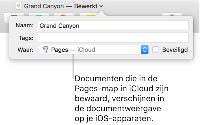 Het dialoogvenster 'Bewaar' in het venstermenu 'Locatie' voor een Pages-document in iCloud.