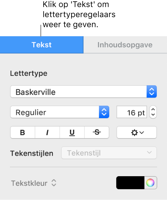 Het tabblad 'Tekst' in de navigatiekolom 'Opmaak' met regelaars voor het wijzigen van het lettertype en de lettergrootte en voor het toevoegen van tekenstijlen.